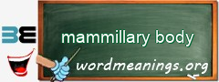WordMeaning blackboard for mammillary body